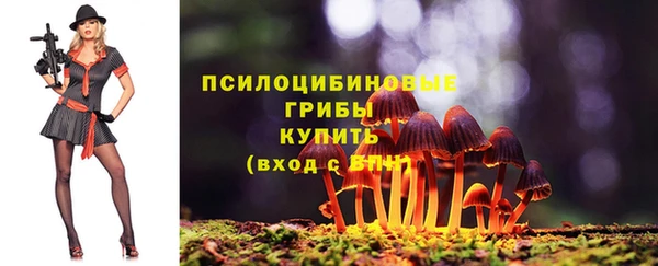герыч Верхний Тагил