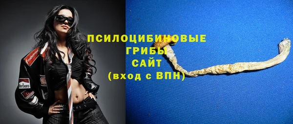 спиды Верея