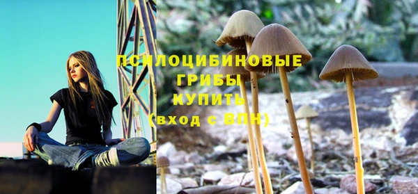 твердый Бронницы