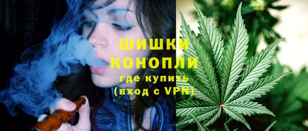спиды Верея