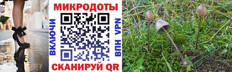 Галлюциногенные грибы ЛСД  Новохопёрск 